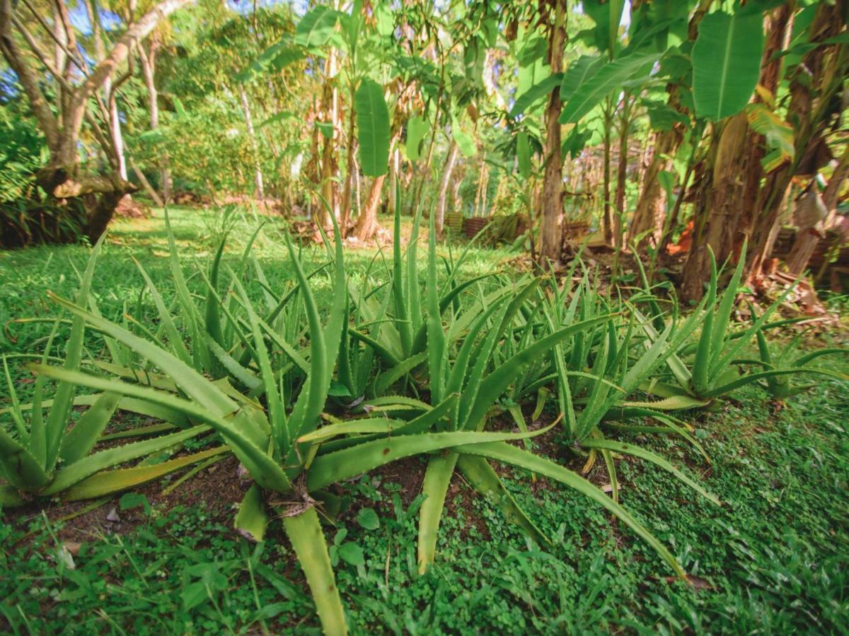 Thalpe Walawwa Heritage Villa Unawatuna Eksteriør billede